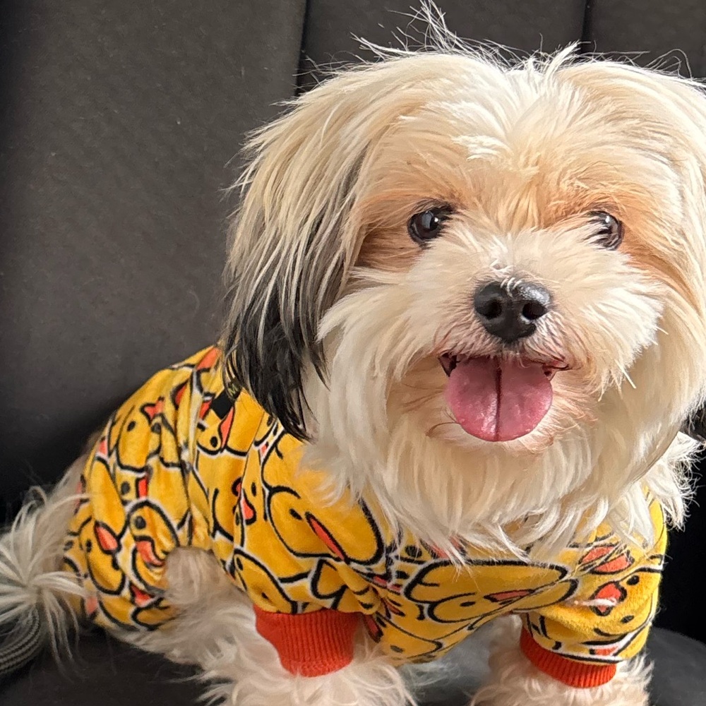 Adorable Duck Dog one piece Pajama